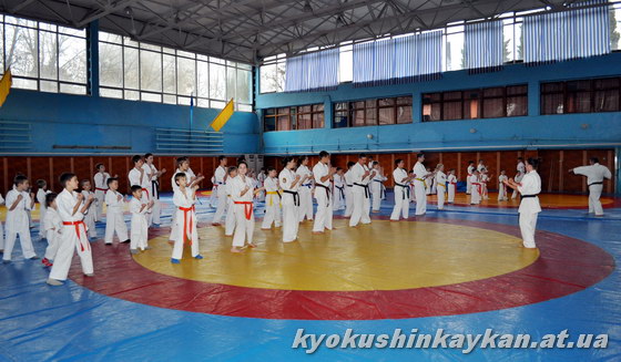 новогодняя тренировка Алуштинской федерации киокушинкайкан карате