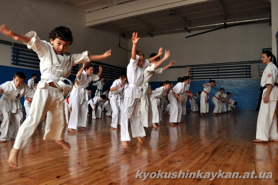учебно-тренировочный семинар по киокушинкайкан каратэ 